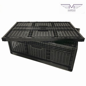 Ящики для фруктов